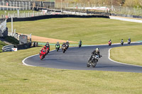 Evening Low_Mid Group Silver_Grey Bikes
